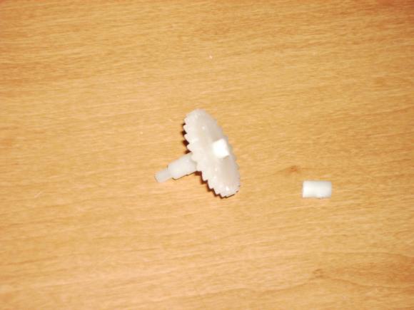 The culprit!