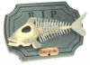 billybones's picture